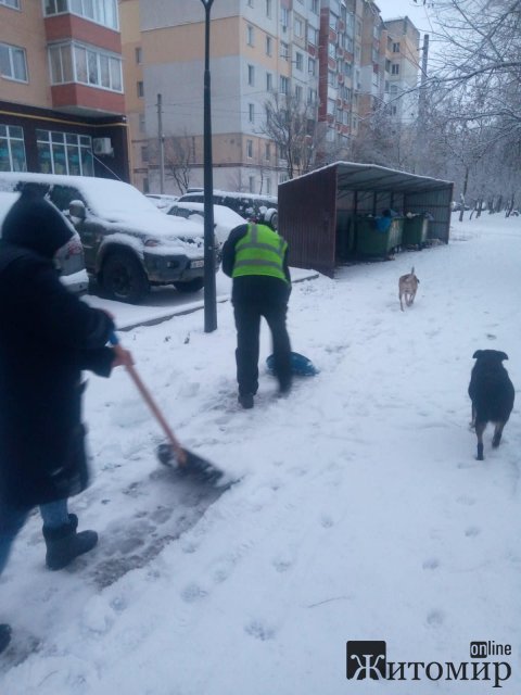 У Житомирі вночі спецтехніка посипала мости, чистила дороги та тротуари. ФОТО