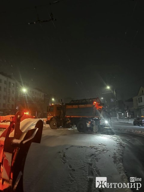 У Житомирі вночі спецтехніка посипала мости, чистила дороги та тротуари. ФОТО