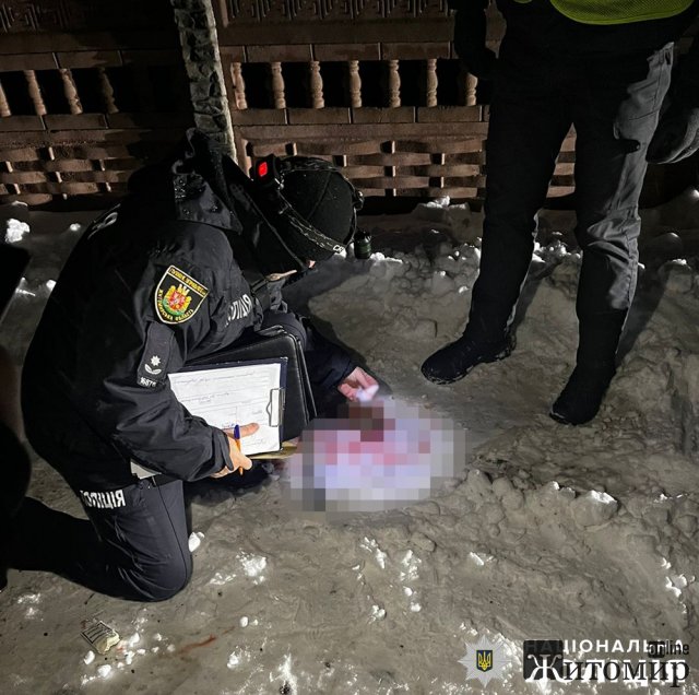 На Житомирщині ВАЗ збив чоловіка та зник з місця ДТП: поліцейські розшукали п