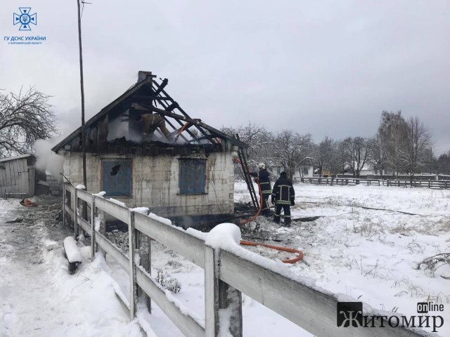 Через пічне опалення у селі на Житомирщині загинула жінка. ФОТО