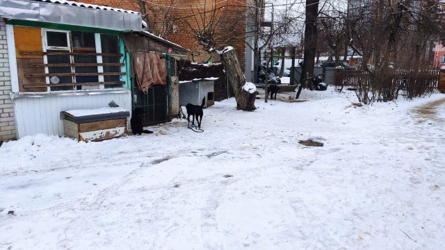 Інша сторона медалі: Бердичів без фільтрів. ФОТО