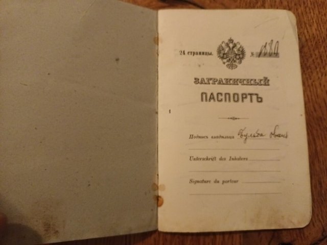 Яким був у 1900-х роках закордонний паспорт у житомирянина