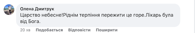 Житомиряни кажуть, що у ДТП, яку скоїв пʼяний водій, загинула лікарка Житомиряни кажуть, що у ДТП, яку скоїв пʼяний водій, загинула лікарка