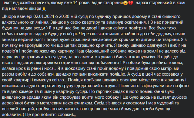 У Житомирі чоловік побив сусідського пса: тварина в тяжкому стані У Житомирі чоловік побив сусідського пса: тварина в тяжкому стані
