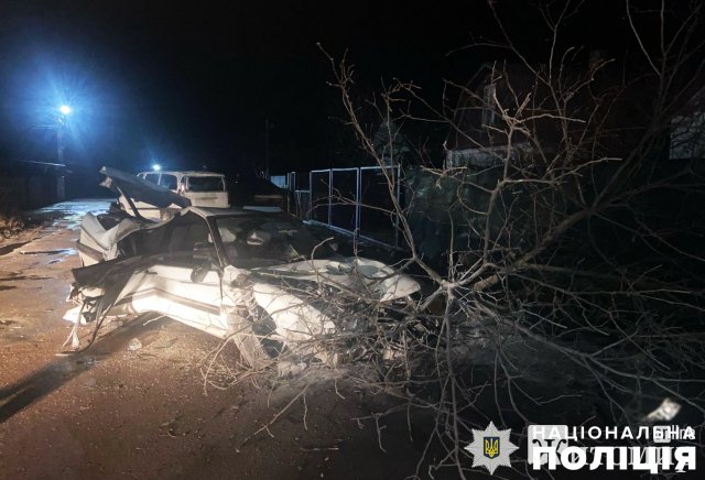 Неподалік Житомира п’яний водій Mitsubishi в’їхав у дерево та мікроавтобус: загинув пасажир. ФОТО