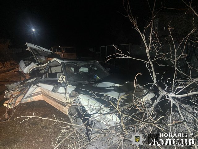 Неподалік Житомира п’яний водій Mitsubishi в’їхав у дерево та мікроавтобус: загинув пасажир. ФОТО