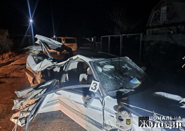 Неподалік Житомира п’яний водій Mitsubishi в’їхав у дерево та мікроавтобус: загинув пасажир. ФОТО