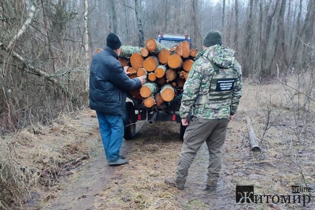 У лісі на Житомирщині прикордонники зупинили трактор з вільхою та знайшли місце незаконної порубки 60 дерев. ФОТО