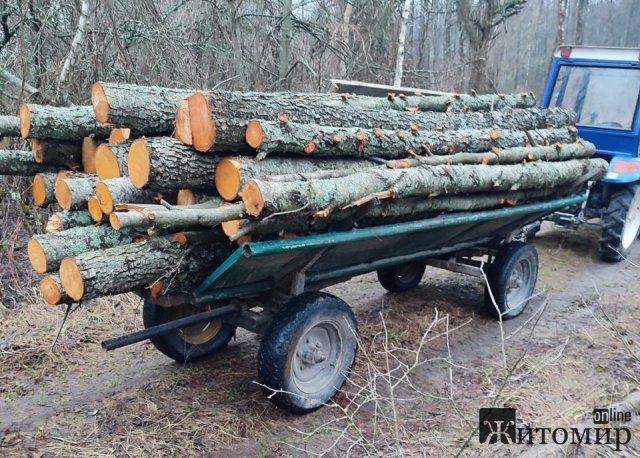 У лісі на Житомирщині прикордонники зупинили трактор з вільхою та знайшли місце незаконної порубки 60 дерев. ФОТО