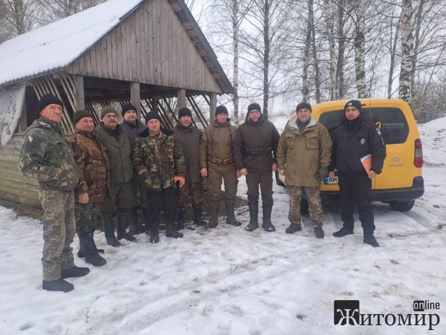 У Житомирській області почали відстрілювати диких лисиць