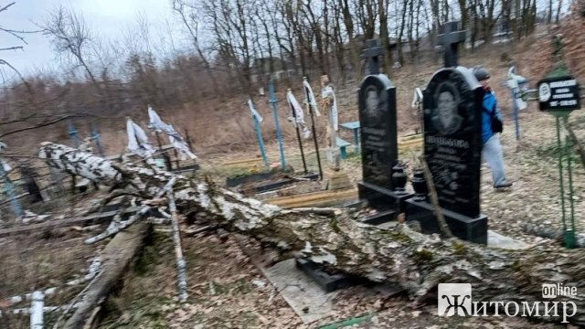 Через негоду на півночі Житомирщини дерева понівечили могили на кладовищі. ФОТО