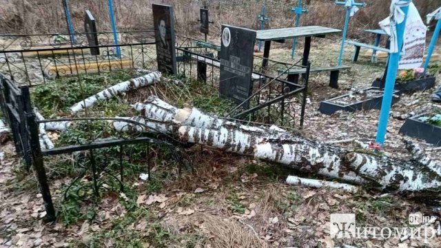 Через негоду на півночі Житомирщини дерева понівечили могили на кладовищі. ФОТО