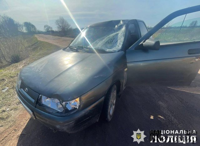 У Черняхові ВАЗ зіштовхнувся з велосипедистом: водія двоколісника госпіталізували. ФОТО