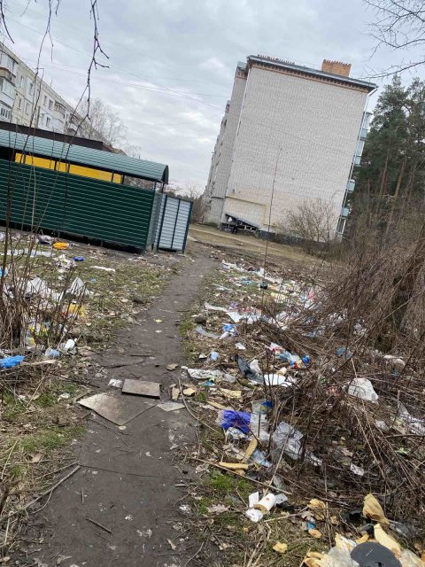 В одному з мікрорайонів Житомира знову виявили стихійні сміттєзвалища. ФОТО