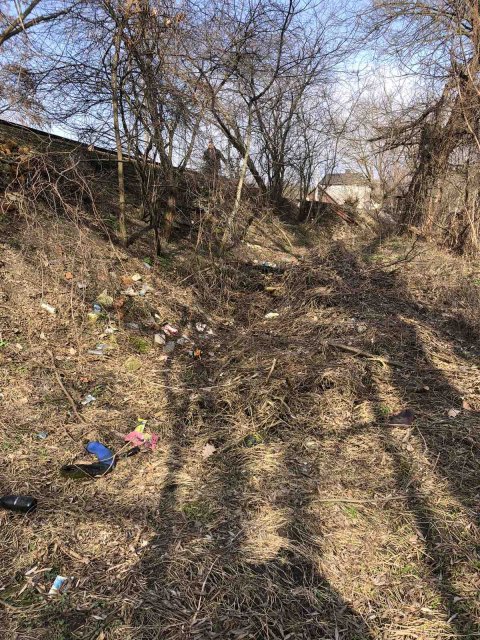 В одному з мікрорайонів Житомира знову виявили стихійні сміттєзвалища. ФОТО