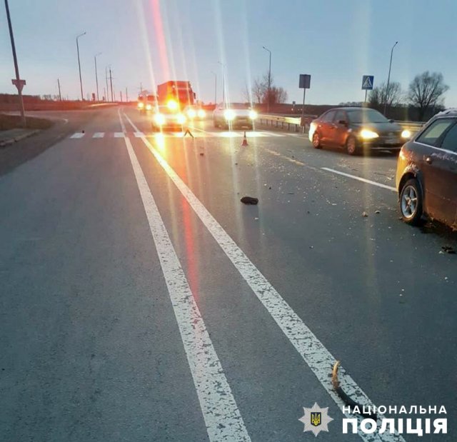 На трасі у Звягельському районі водійка Audi здійснила наїзд на чоловіка з велосипедом у руках. ФОТО