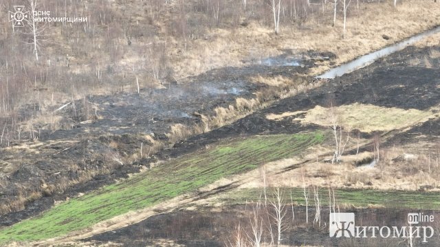 За добу в трьох районах Житомирської області вогнем знищено 6 га сухостою. ФОТО