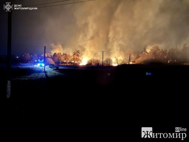 За добу в трьох районах Житомирської області вогнем знищено 6 га сухостою. ФОТО