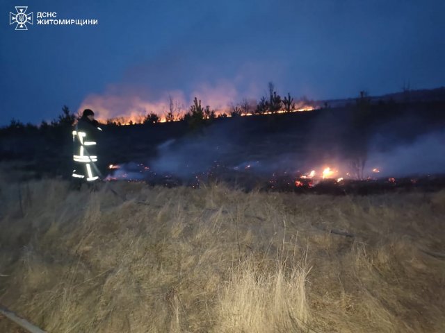 За добу на Житомирщині сталися понад 20 загорянь трави, сміття та торфу: є травмований