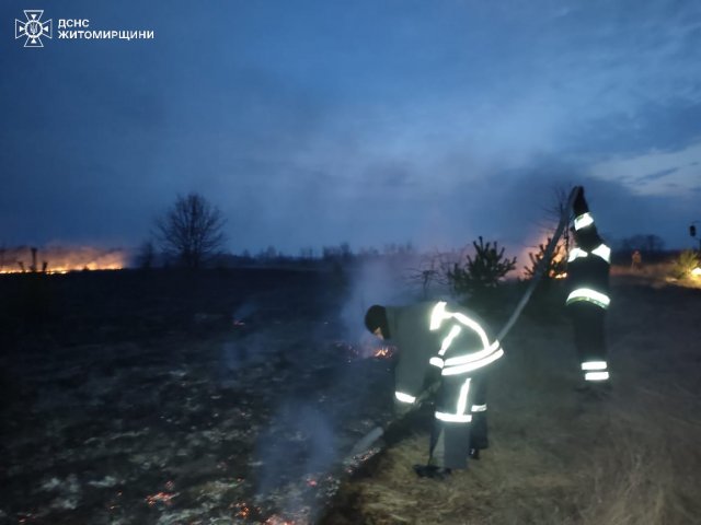 За добу на Житомирщині сталися понад 20 загорянь трави, сміття та торфу: є травмований