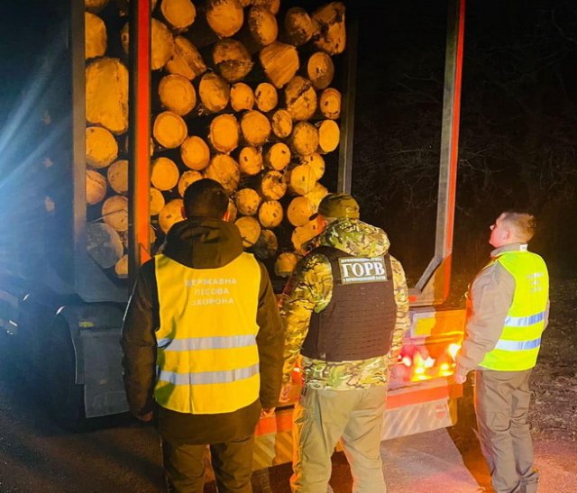 На Житомирщині прикордонники зупинили дві вантажівки, які перевозили лісодеревину без документів. ФОТО