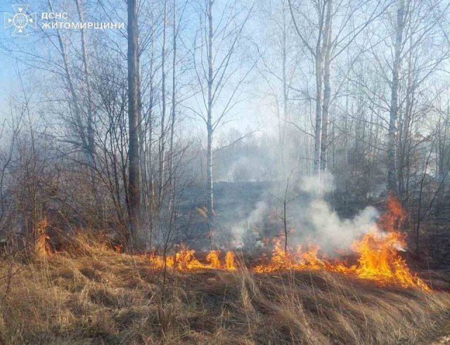 У Житомирському районі вогонь наблизився до підприємства. ФОТО