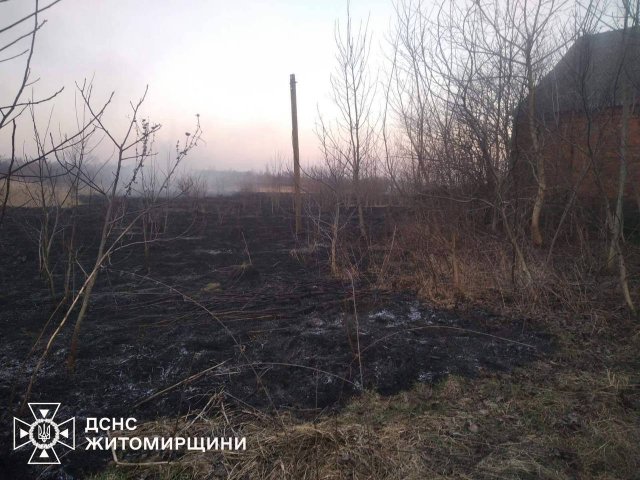 У Житомирському районі вогонь наблизився до підприємства. ФОТО