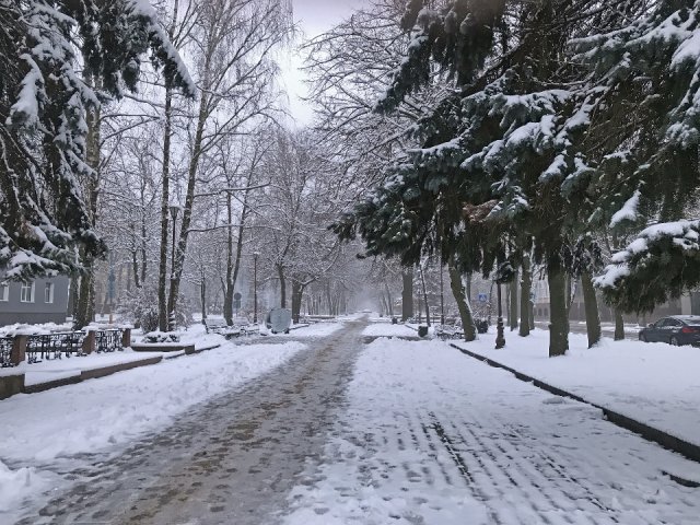 Зима 2024 у Житомирі