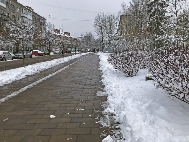 Зима 2024 у Житомирі
