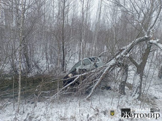 На дорозі в Житомирській області водій Renault не впорався з керуванням та з