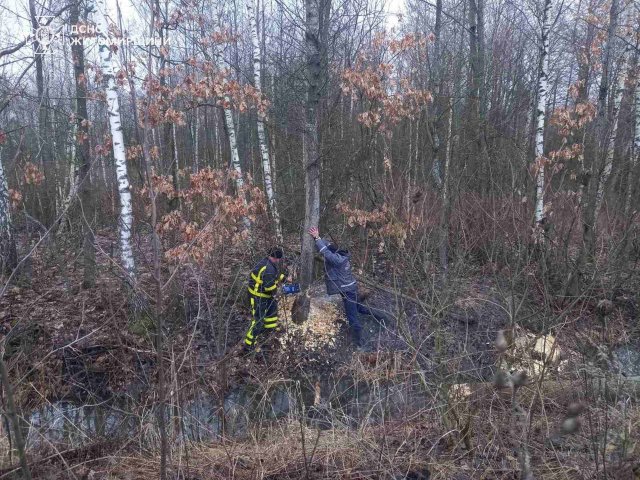 На Житомирщині рятувальники витягли з бездоріжжя вантажівку та прибрали дерево, яке впало на авто. ФОТО