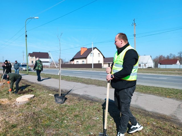 Весняна толока в Малині: висадили 40 нових дерев. ФОТО