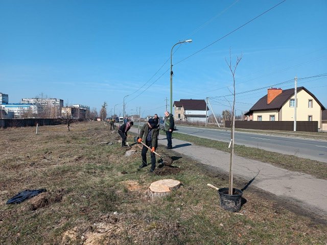 Весняна толока в Малині: висадили 40 нових дерев. ФОТО