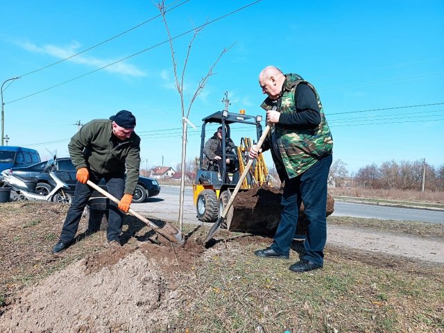 Весняна толока в Малині: висадили 40 нових дерев. ФОТО