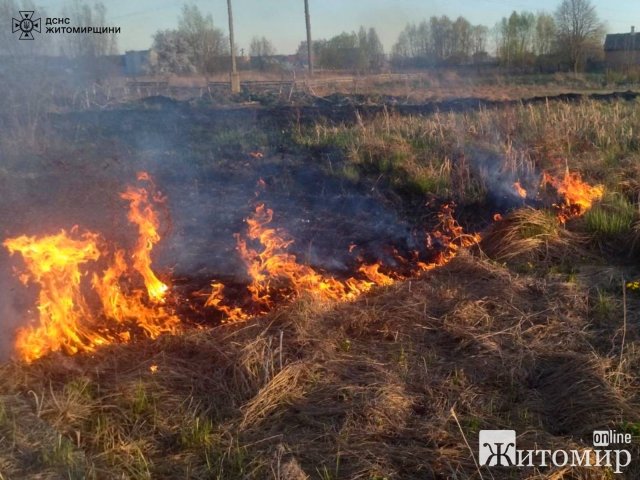 На території одного з сіл Бердичівського району рятувальники ліквідовували займання сухостою. ФОТО