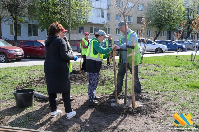 У Житомирі посилюють біорізноманіття на протидію змінам клімату. ФОТО