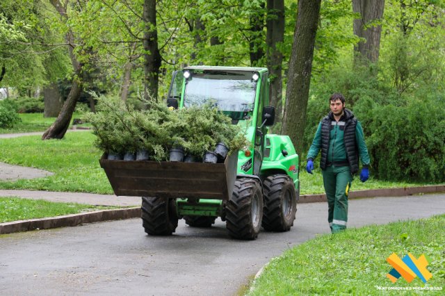У Житомирі в Шодуарівському парку з