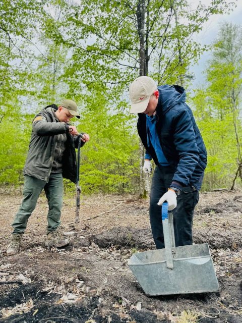 У Житомирській області поліцейські висадили понад три тисячі саджанців дерев. ФОТО