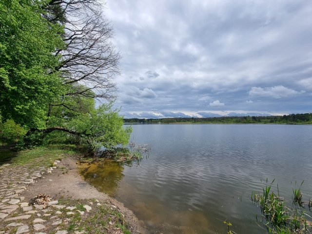 Житомирський гідропарк зазеленів. ФОТО