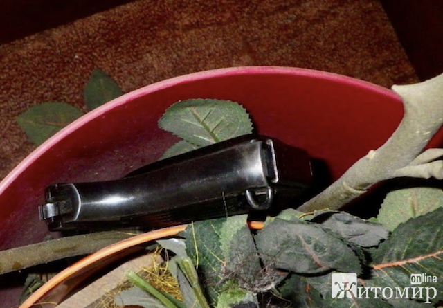 У Житомирському парку чоловік стріляв у людей з пістолета У Житомирському парку чоловік стріляв у людей з пістолета