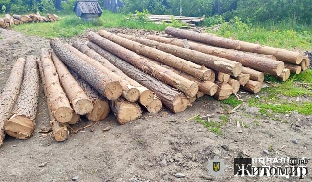 В Олевській громаді молодик привів соснові колоди без документів на переробку. ФОТО