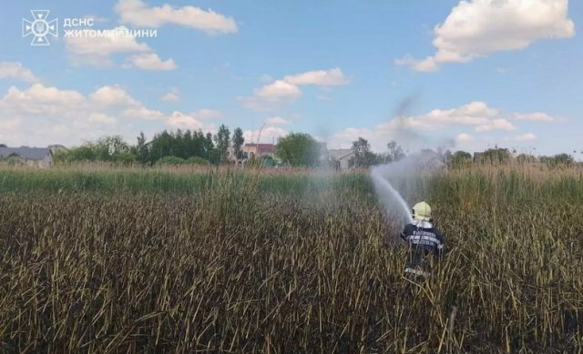 У Житомирі рятувальники ліквідували займання сухої трави та очерету вздовж річки