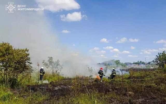У Житомирі рятувальники ліквідували займання сухої трави та очерету вздовж річки