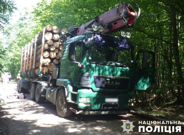 На Житомирщині МАN зіштовхнувся з велосипедисткою, жінку госпіталізували. ФОТО