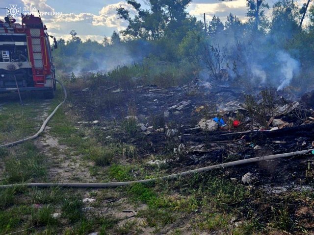 Минулої доби на Житомирщині горів ВАЗ, дах будинку та суха трава. ФОТО