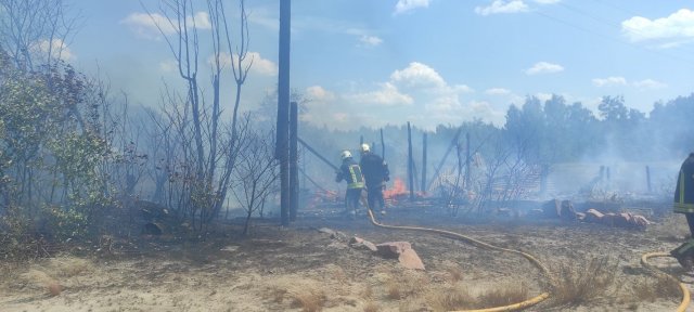 На півночі Житомирщини сталася масштабна пожежа. ФОТО