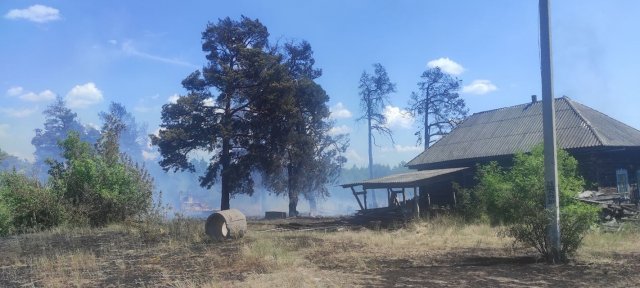 На півночі Житомирщини сталася масштабна пожежа. ФОТО