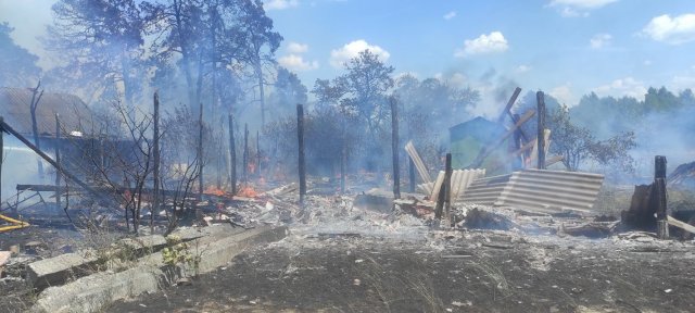 На півночі Житомирщини сталася масштабна пожежа. ФОТО