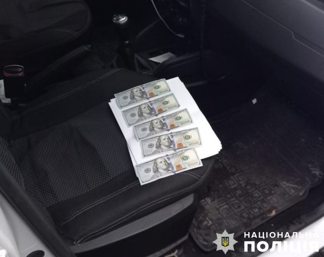 Хабар в іноземній валюті за нетверезе кермування - на Житомирщині жінка пропонувала гроші поліцейським