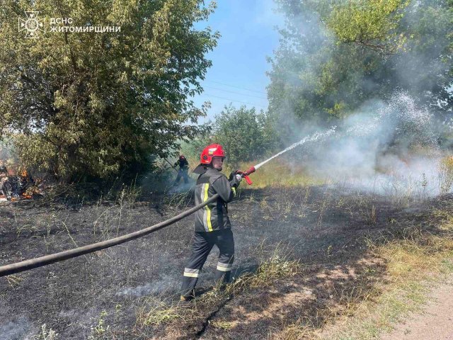 У Житомирській області на вихідних горіла суха трава на загальній площі понад 300 га